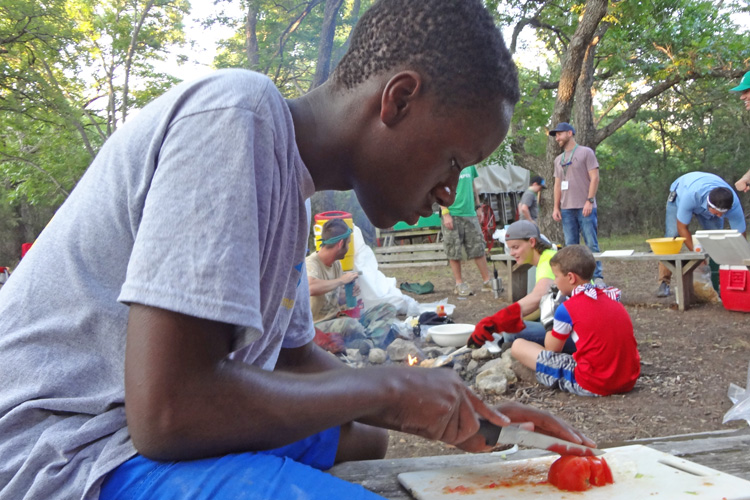 A man cutting food on top of a tree.