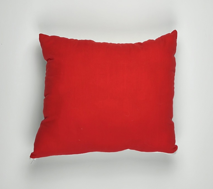 A red pillow is on the ground